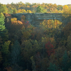 Red River Gorge in Fall